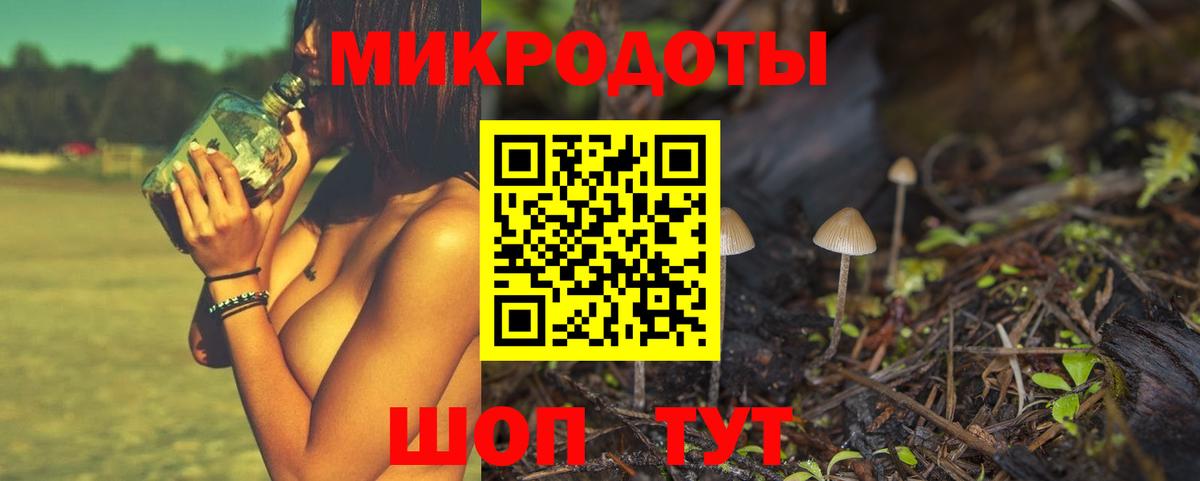 Орск  Псилоцибиновые грибы мицелий  Вход с VPN  купить   Галлюциногенные грибы Psilocybe 